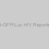 Rev-A3-GFP/Luc HIV Reporter Cells